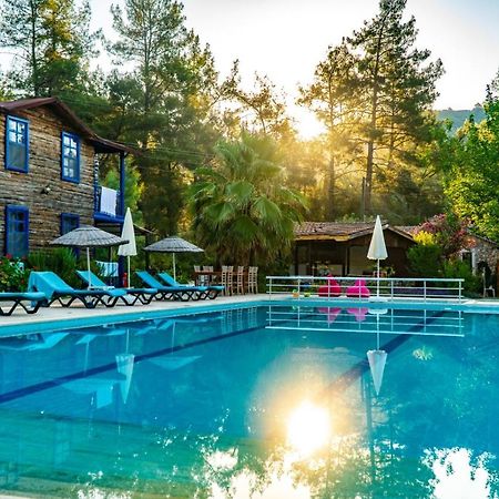 فندق Olympos Forest House Yazir  المظهر الخارجي الصورة