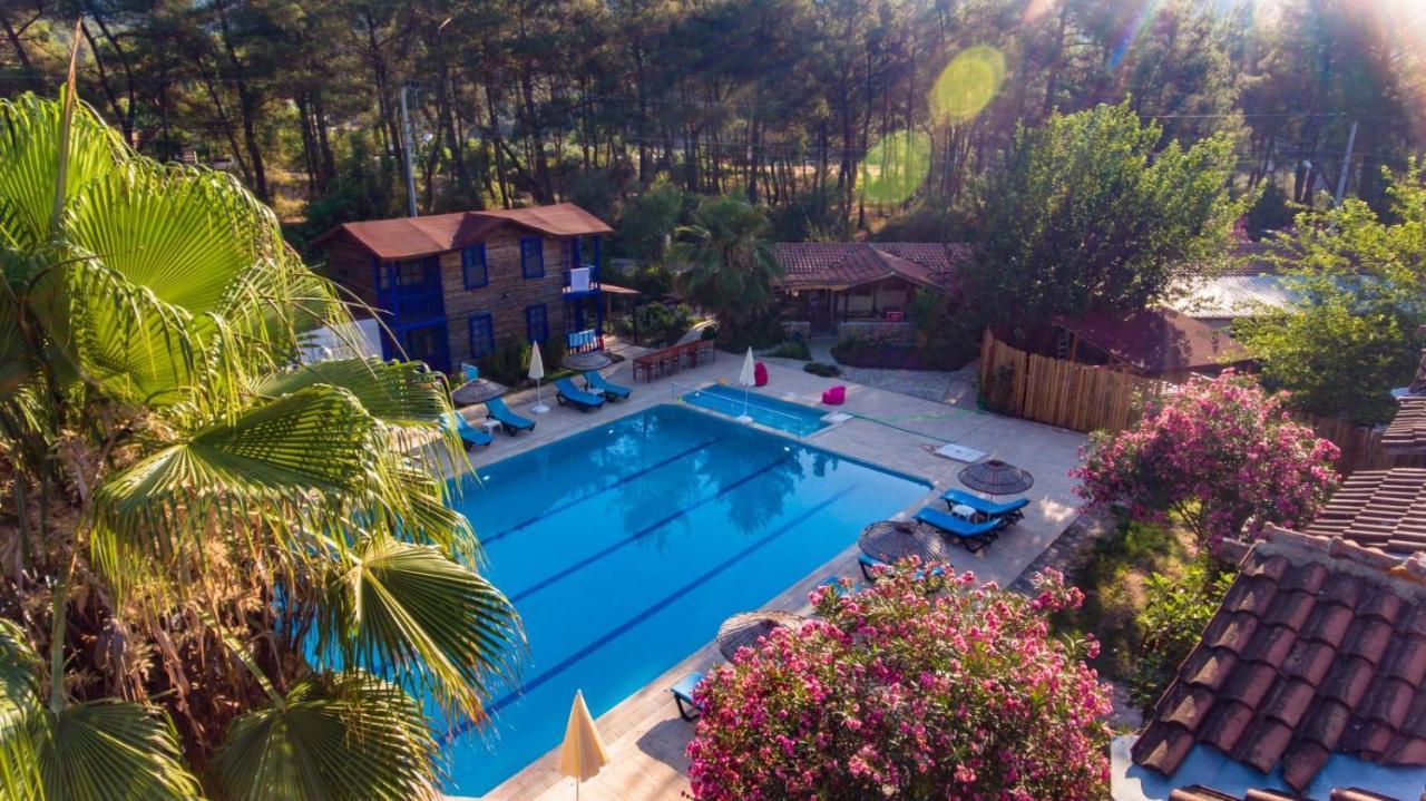 فندق Olympos Forest House Yazir  المظهر الخارجي الصورة